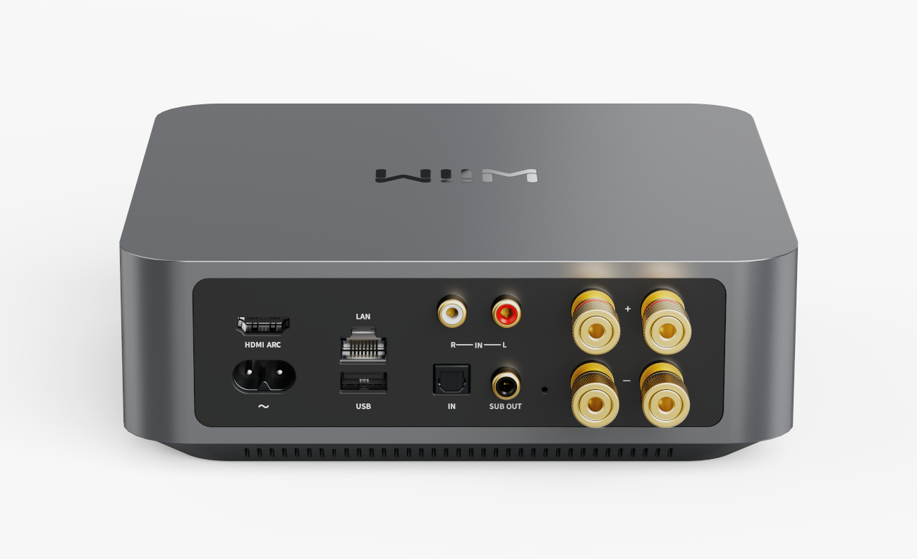 Amplificador Wiim Amp