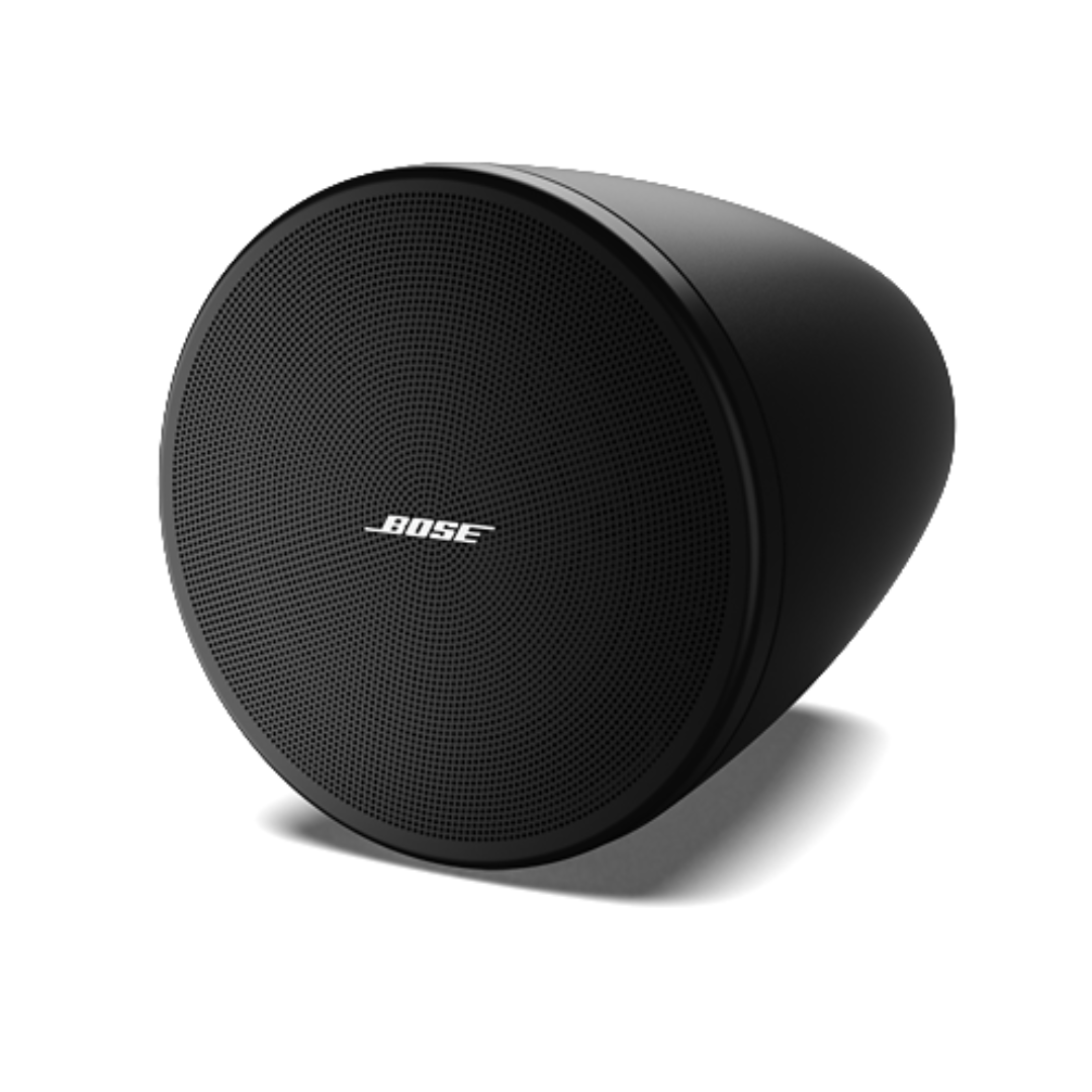 Bose DesignMax DM10P-Sub (Unidad)