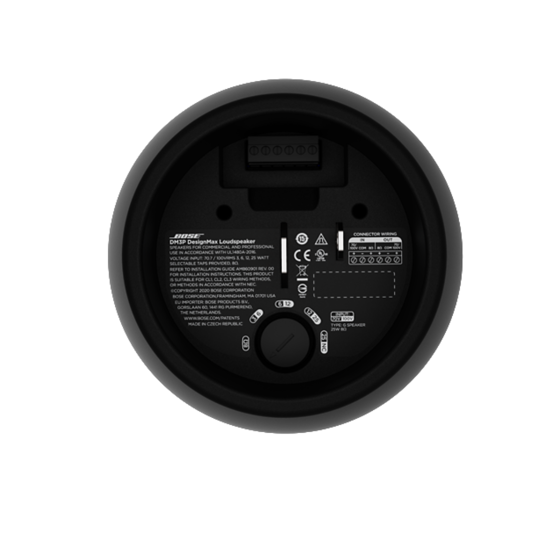 Bose DesignMax DM10P-Sub (Unidad)