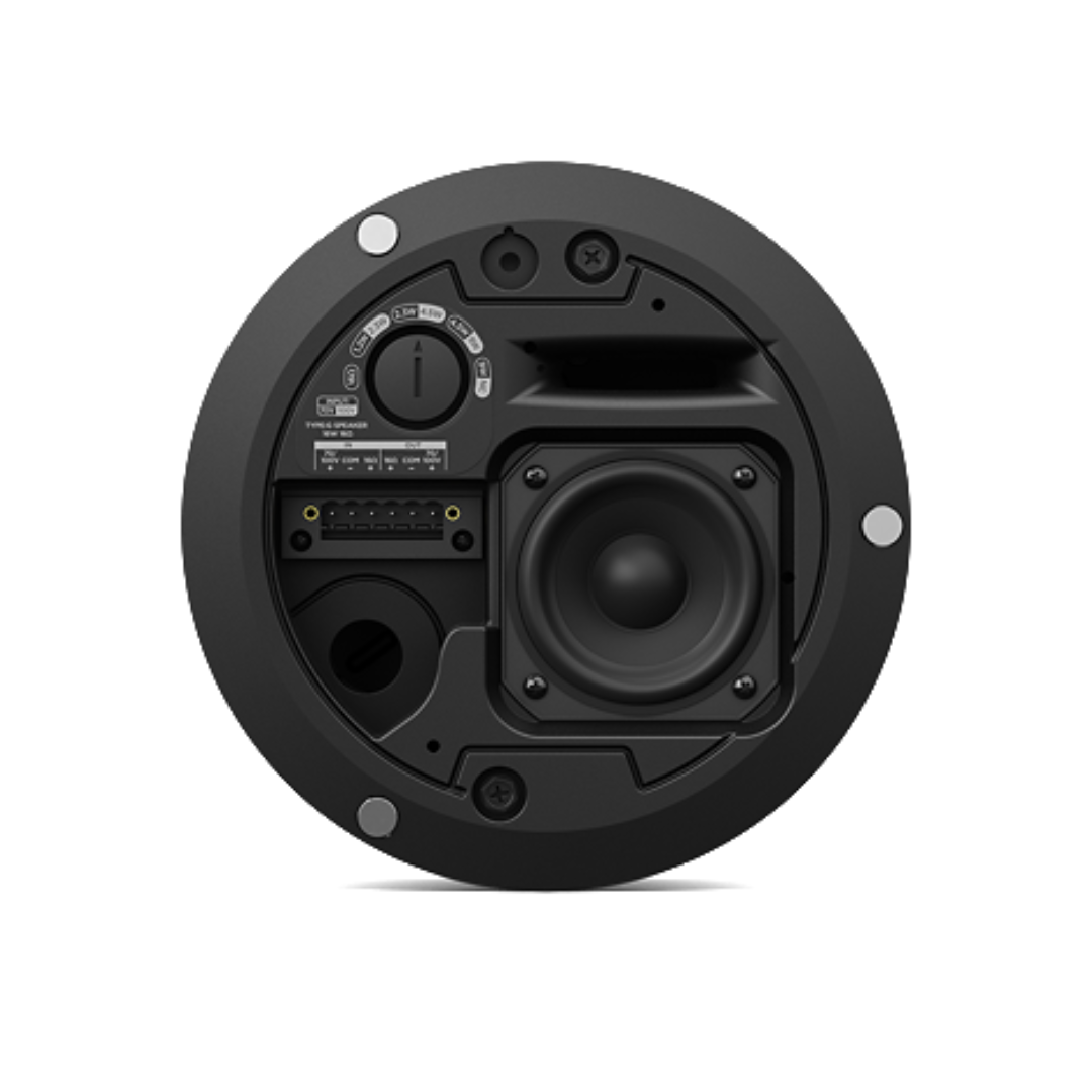 Bose DesignMax DM2C-LP (Par)