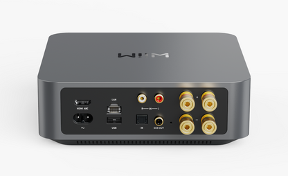 Amplificador Wiim Amp
