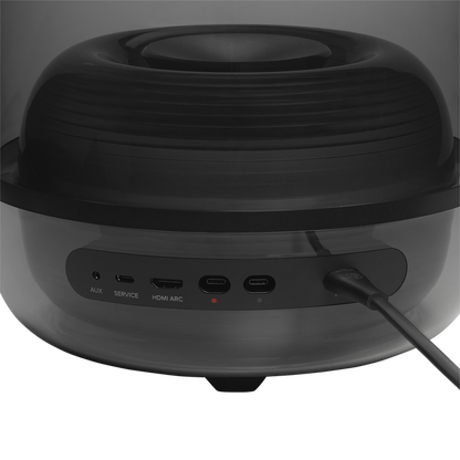 HK Sound Stick 5 Home Audio Non-Smart Speaker
